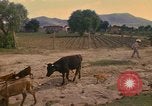 Image of man Mexico, 1975, second 7 stock footage video 65675039467