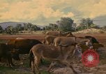 Image of man Mexico, 1975, second 8 stock footage video 65675039467