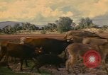Image of man Mexico, 1975, second 9 stock footage video 65675039467