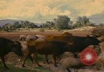 Image of man Mexico, 1975, second 10 stock footage video 65675039467