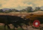 Image of man Mexico, 1975, second 11 stock footage video 65675039467