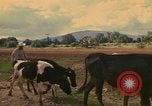 Image of man Mexico, 1975, second 12 stock footage video 65675039467