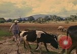 Image of man Mexico, 1975, second 13 stock footage video 65675039467