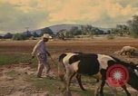 Image of man Mexico, 1975, second 14 stock footage video 65675039467