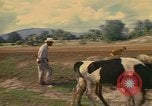 Image of man Mexico, 1975, second 15 stock footage video 65675039467
