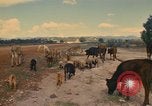 Image of man Mexico, 1975, second 17 stock footage video 65675039467