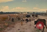 Image of man Mexico, 1975, second 18 stock footage video 65675039467