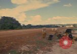 Image of man Mexico, 1975, second 20 stock footage video 65675039467
