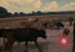 Image of man Mexico, 1975, second 22 stock footage video 65675039467