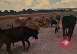Image of man Mexico, 1975, second 23 stock footage video 65675039467