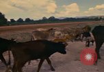 Image of man Mexico, 1975, second 24 stock footage video 65675039467