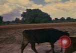 Image of man Mexico, 1975, second 25 stock footage video 65675039467
