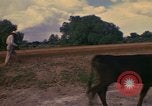 Image of man Mexico, 1975, second 26 stock footage video 65675039467