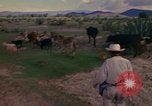 Image of man Mexico, 1975, second 31 stock footage video 65675039467