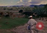 Image of man Mexico, 1975, second 32 stock footage video 65675039467