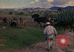 Image of man Mexico, 1975, second 33 stock footage video 65675039467