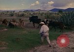 Image of man Mexico, 1975, second 34 stock footage video 65675039467
