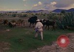 Image of man Mexico, 1975, second 35 stock footage video 65675039467