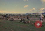 Image of man Mexico, 1975, second 49 stock footage video 65675039467