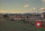 Image of man Mexico, 1975, second 50 stock footage video 65675039467