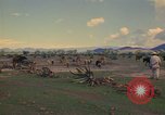 Image of man Mexico, 1975, second 51 stock footage video 65675039467