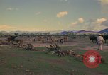 Image of man Mexico, 1975, second 52 stock footage video 65675039467