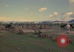 Image of man Mexico, 1975, second 53 stock footage video 65675039467