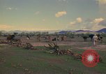 Image of man Mexico, 1975, second 55 stock footage video 65675039467