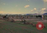 Image of man Mexico, 1975, second 56 stock footage video 65675039467