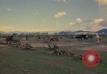 Image of man Mexico, 1975, second 58 stock footage video 65675039467