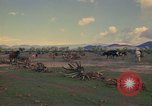 Image of man Mexico, 1975, second 59 stock footage video 65675039467