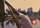 Image of Floating Gardens of Xochimilco Mexico City Mexico, 1975, second 49 stock footage video 65675039468
