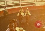 Image of horses Mexico City Mexico, 1975, second 1 stock footage video 65675039477