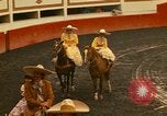 Image of horses Mexico City Mexico, 1975, second 4 stock footage video 65675039477