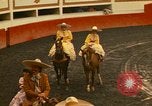 Image of horses Mexico City Mexico, 1975, second 5 stock footage video 65675039477