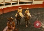 Image of horses Mexico City Mexico, 1975, second 7 stock footage video 65675039477