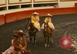 Image of horses Mexico City Mexico, 1975, second 9 stock footage video 65675039477