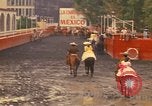 Image of horses Mexico City Mexico, 1975, second 17 stock footage video 65675039477