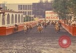 Image of horses Mexico City Mexico, 1975, second 31 stock footage video 65675039477