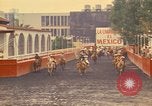 Image of horses Mexico City Mexico, 1975, second 33 stock footage video 65675039477