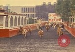Image of horses Mexico City Mexico, 1975, second 35 stock footage video 65675039477