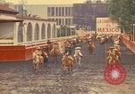 Image of horses Mexico City Mexico, 1975, second 40 stock footage video 65675039477