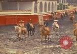 Image of horses Mexico City Mexico, 1975, second 45 stock footage video 65675039477
