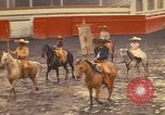 Image of horses Mexico City Mexico, 1975, second 49 stock footage video 65675039477