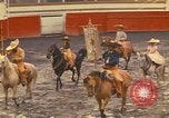 Image of horses Mexico City Mexico, 1975, second 50 stock footage video 65675039477