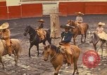 Image of horses Mexico City Mexico, 1975, second 51 stock footage video 65675039477