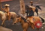 Image of horses Mexico City Mexico, 1975, second 53 stock footage video 65675039477