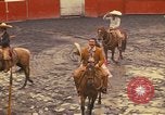 Image of horses Mexico City Mexico, 1975, second 57 stock footage video 65675039477