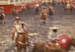 Image of horses Mexico City Mexico, 1975, second 62 stock footage video 65675039477