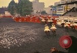 Standbild Frauen reiten Team Mexico City Mexiko, 1975, aus Sekunde 52 historischem Filmmaterial Videoclip 65675039478